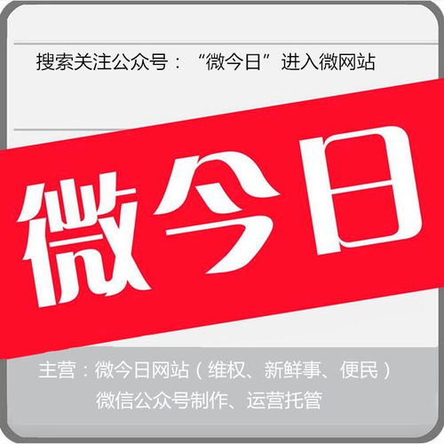 合肥市微今日網絡服務 驅動城市數字化轉型的智慧引擎